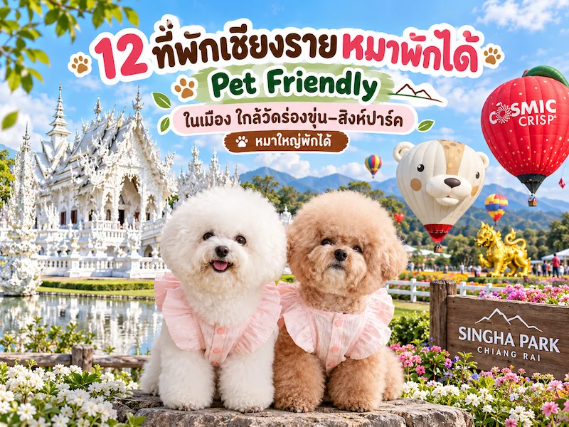 ภาพประกอบ:12 ที่พักเชียงรายหมาพักได้ Pet Friendly ในเมือง ใกล้วัดร่องขุ่น–สิงห์ปาร์ค หมาใหญ่พักได้