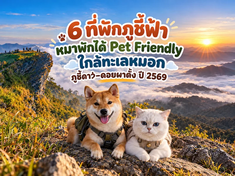 ภาพประกอบ:6 ที่พักภูชี้ฟ้าหมาพักได้ Pet Friendly เชียงราย ใกล้ทะเลหมอก อัปเดต 2569