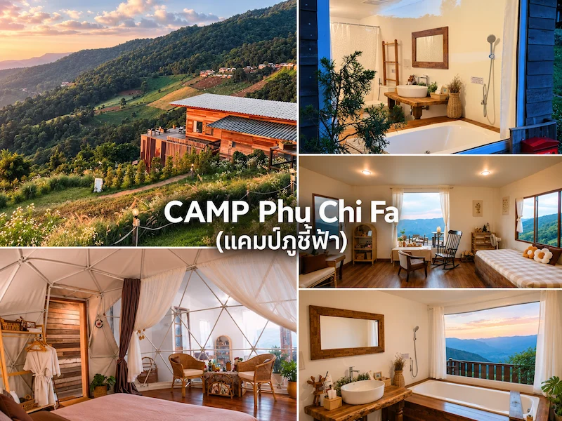 CAMP-Phu-Chi-Fa-หมาพักได้.webp