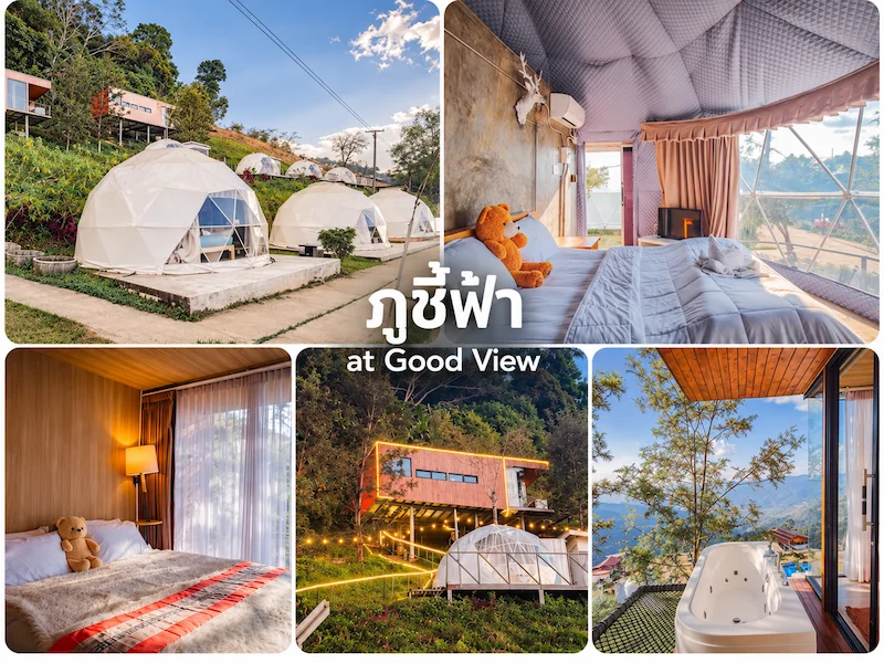 ภูชี้ฟ้า-at-Good-View-หมาพักได้.webp