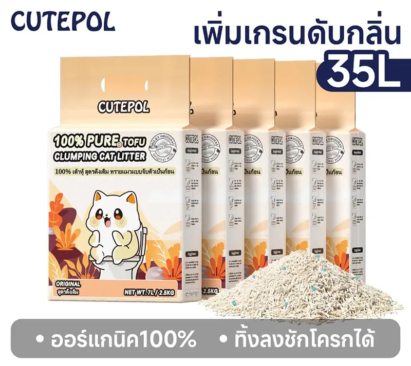 ทรายแมวเต้าหู้-ยี่ห้อไหนดี-มือใหม่หัดเลี้ยงแมว .webp