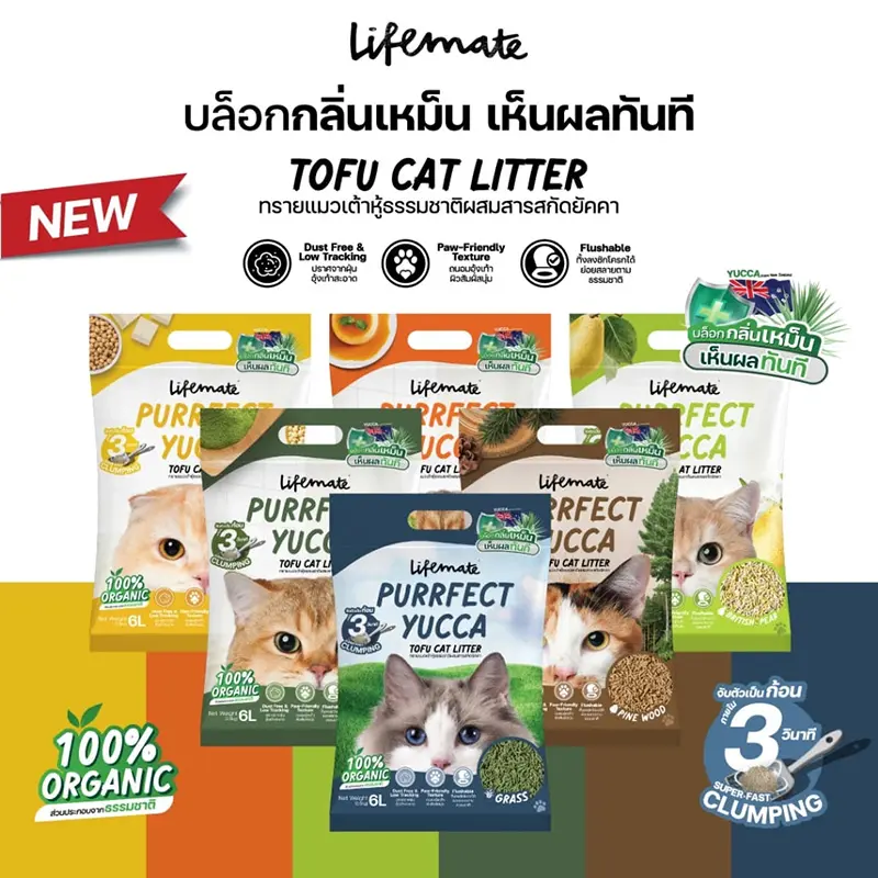 ทรายแมวเต้าหู้-ยี่ห้อไหนดี-มือใหม่หัดเลี้ยงแมว-2.webp