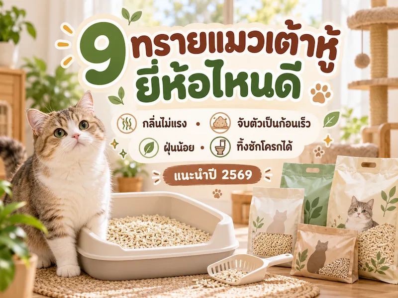 ทรายแมวเต้าหู้ยี่ห้อไหนดี.webp