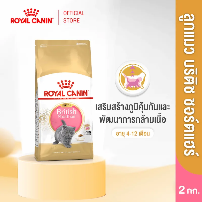 10 อาหารแมวยี่ห้อไหนดี ขนสวย สุขภาพดี มีทั้งลูกแมว แมวโต และแมวสูงวัย