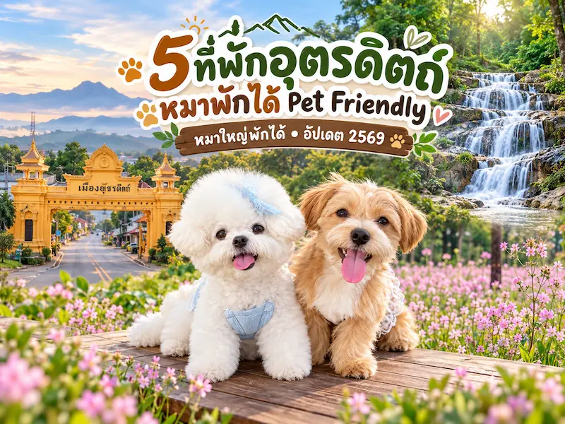 5 ที่พักอุตรดิตถ์หมาพักได้ Pet Friendly หมาใหญ่พักได้ อัปเดต 2569