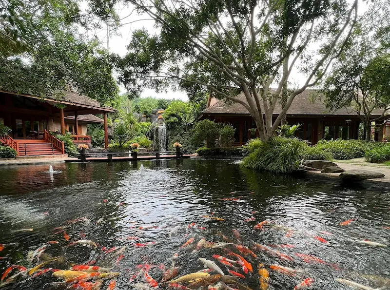 9 ที่พักเชียงรายหมาพักได้  Pet Friendly ดอยแม่สลอง แม่จัน ดอยตุง หมาใหญ่พักได้ อัปเดต 2569
