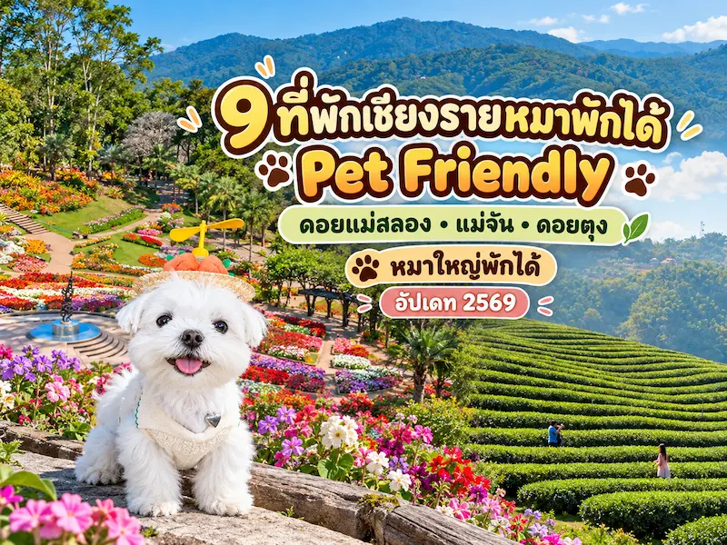 9 ที่พักเชียงรายหมาพักได้  Pet Friendly ดอยแม่สลอง แม่จัน ดอยตุง หมาใหญ่พักได้ อัปเดต 2569