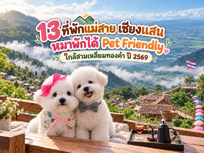 13 ที่พักแม่สาย เชียงแสน หมาพักได้ Pet Friendly ใกล้สามเหลี่ยมทองคำ ปี 2569