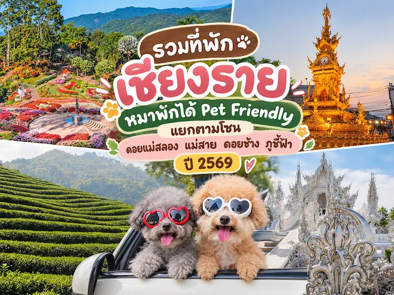 ที่พักเชียงราย-หมาพักได้.webp
