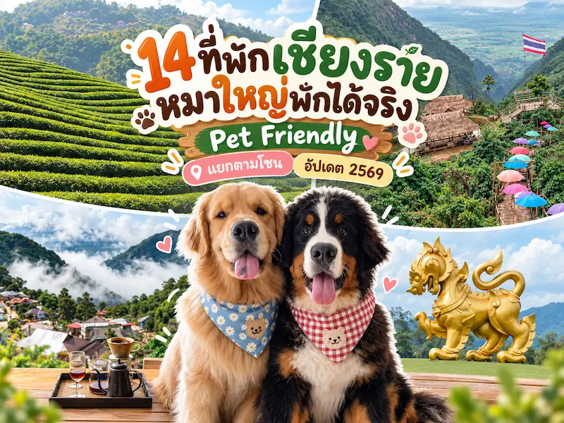 14 ที่พักเชียงรายหมาใหญ่พักได้จริง Pet Friendly แยกตามโซน อัปเดต 2569