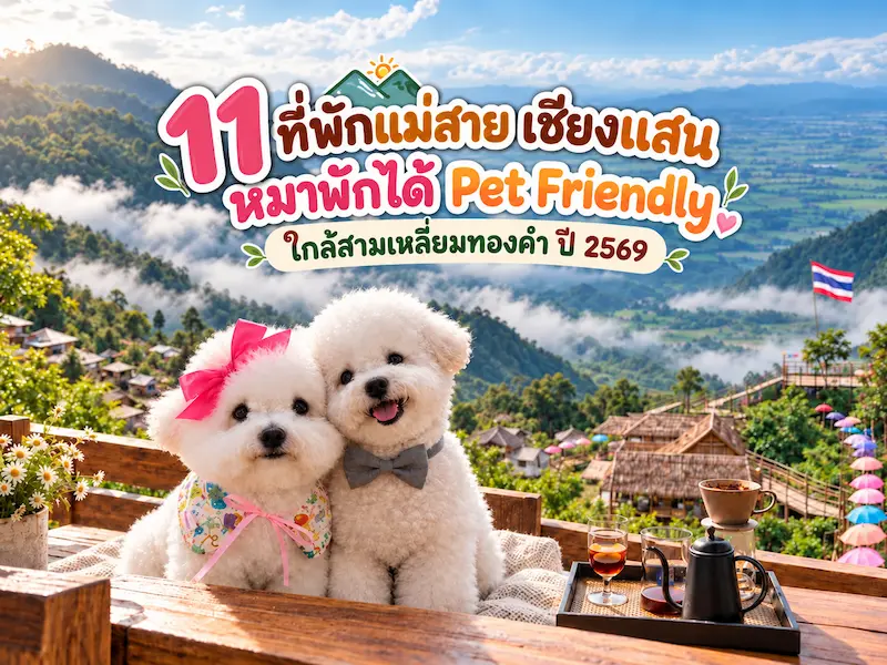 11 ที่พักแม่สาย เชียงแสน หมาพักได้ Pet Friendly ใกล้สามเหลี่ยมทองคำ