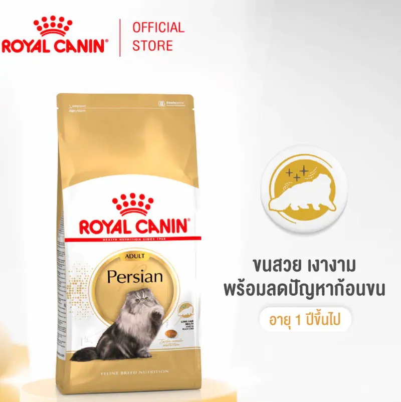 แมวเปอร์เซีย Persian ลักษณะนิสัย วิธีเลี้ยง อาหาร โรคที่ควรระวัง และราคา