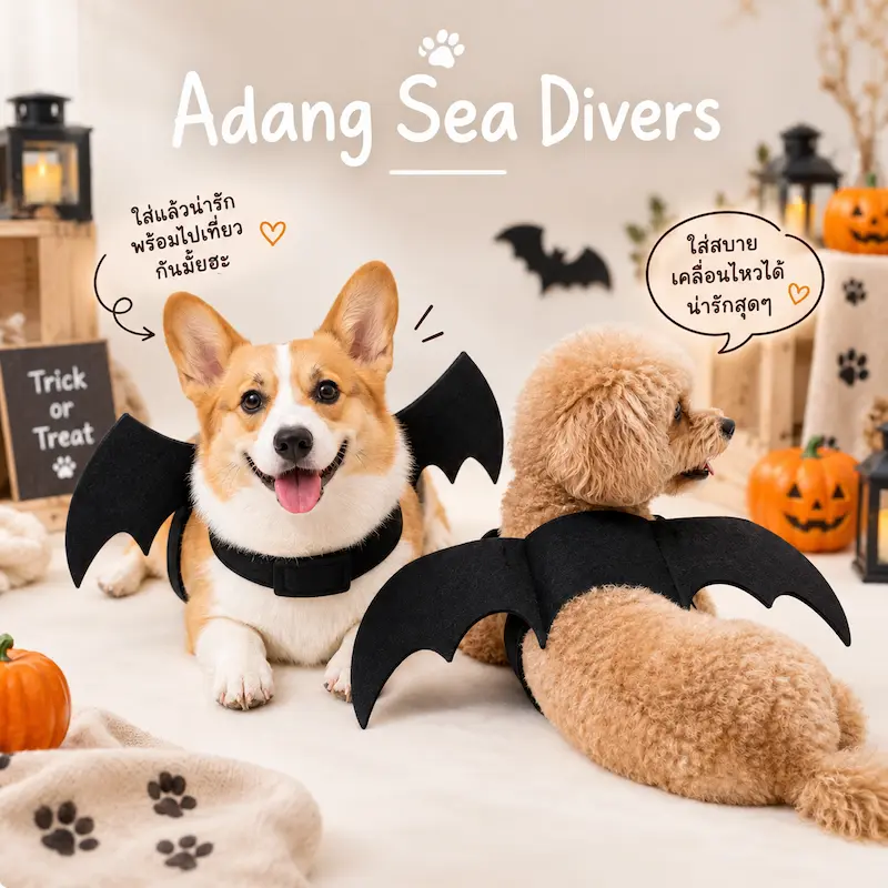 ชุดฮาโลวีนหมาแมว Halloween 2026 เสื้อหมา เสื้อแมว ชุดแฟนซี หมวก ปีกค้างคาว หมาใหญ่ใส่ได้ 