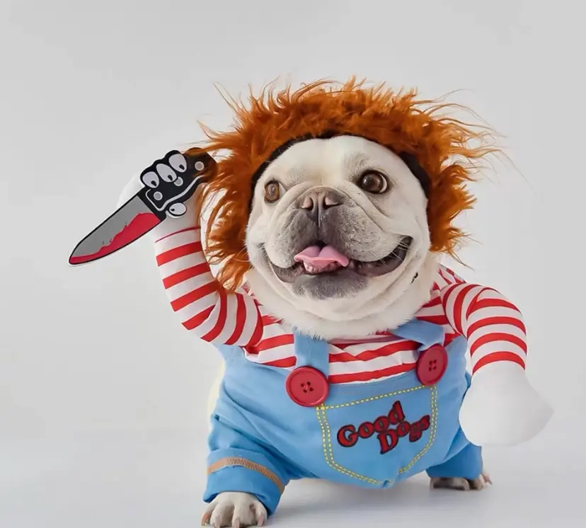 ชุดชัคกี้สุนัข Chucky ชุดแฟนซีแมว คอสเพลย์ พร้อมวิกผม อย่างหลอน