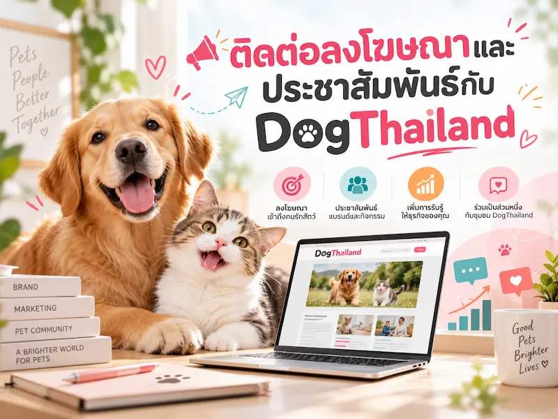 ติดต่อลงโฆษณาและประชาสัมพันธ์กับ DogThailand และ รีวิวที่พัก