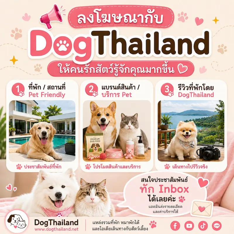 ติดต่อลงโฆษณาและประชาสัมพันธ์กับ DogThailand และ รีวิวที่พัก