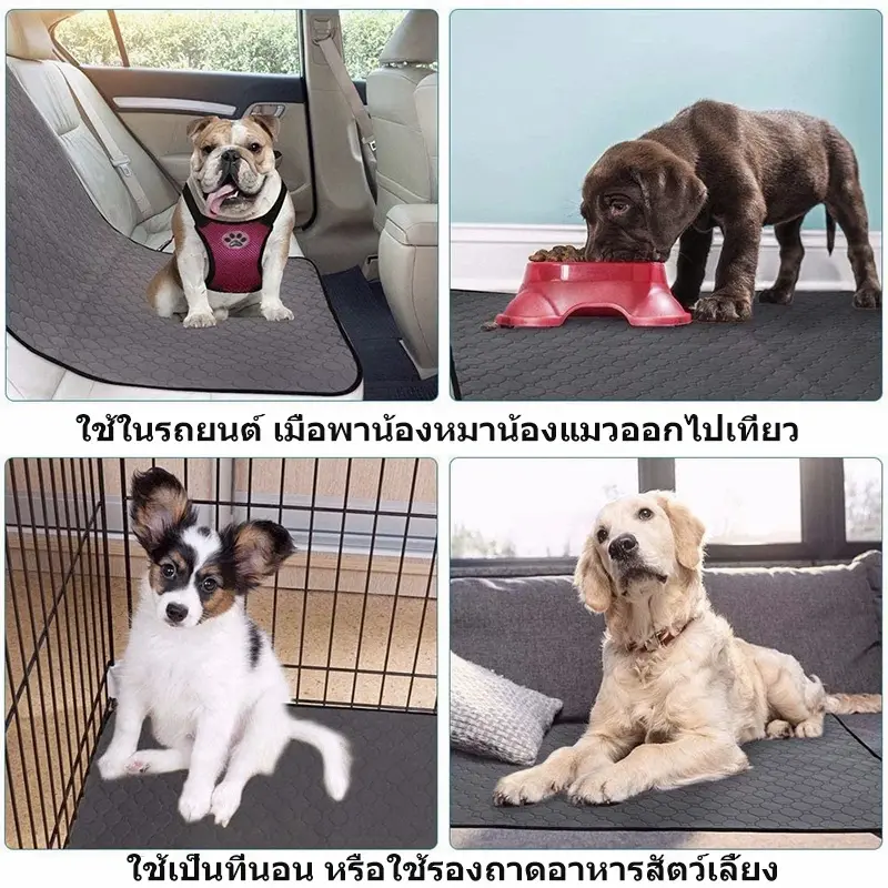 แผ่นรองฉี่สุนัข 4 ชั้น ซักได้