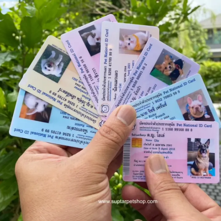 บัตรประชาชนสัตว์เลี้ยง PVC