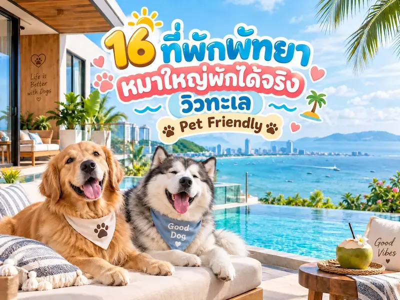 16 ที่พักพัทยา–สัตหีบหมาพักใหญ่พักได้จริง Pet Friendly ติดทะเล วิวสวย ราคาเบาเบา