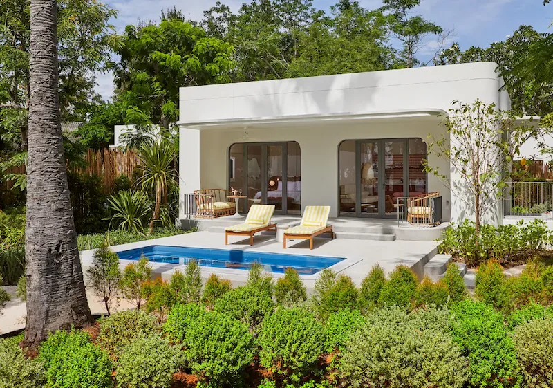 The-Standard-Hua-Hin-หมาใหญ่พักได้.webp