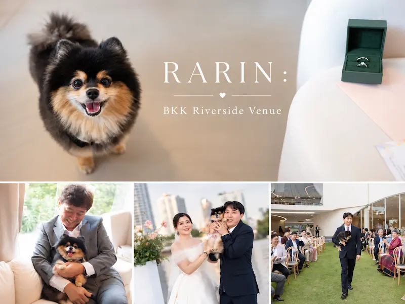 10 สถานที่จัดงานแต่งงาน Pet Friendly พาน้องหมาแมวร่วมวันสำคัญ