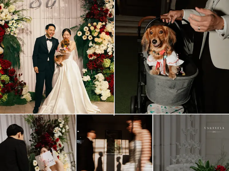 10 สถานที่จัดงานแต่งงาน Pet Friendly พาน้องหมาแมวร่วมวันสำคัญ