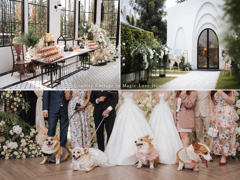 10 สถานที่จัดงานแต่งงาน Pet Friendly พาน้องหมาแมวร่วมวันสำคัญ