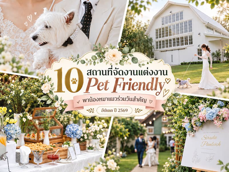 10 สถานที่จัดงานแต่งงาน Pet Friendly พาน้องหมาแมวร่วมวันสำคัญ อัพเดท ปี 2569