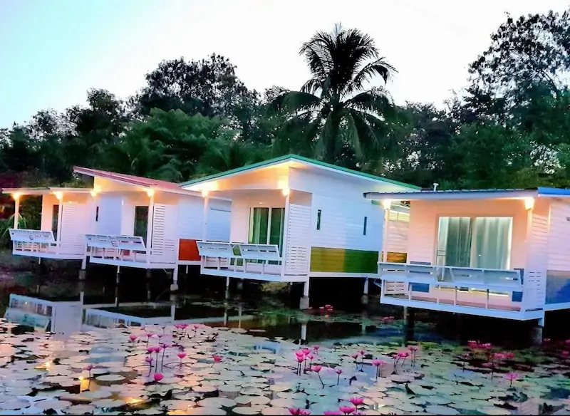 5 ที่พักในตัวเมืองเลย–วังสะพุง หมาพักได้ Pet Friendly มีรีสอร์ทรับหมาใหญ่