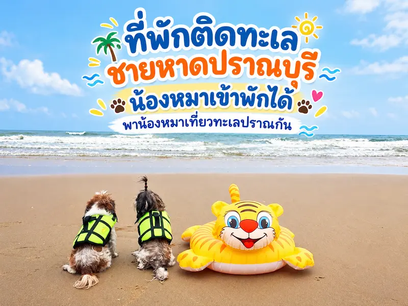 ที่พักปราณบุรีติดทะเล หมาพักได้ Pet Friendly ปากน้ำปราณ–เขากะโหลก–สามร้อยยอด หมาใหญ่พักได้