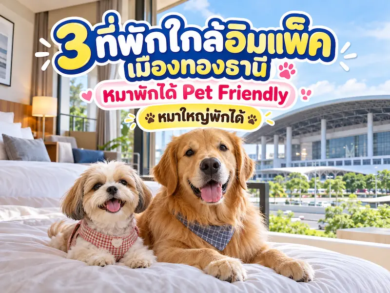 3 ที่พักใกล้อิมแพ็ค เมืองทองธานี หมาพักได้ Pet Friendly หมาใหญ่พักได้