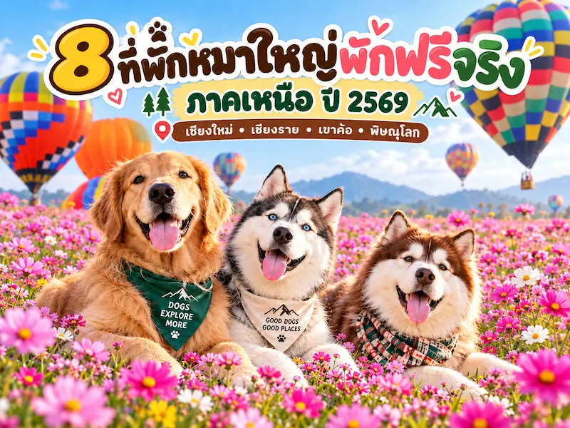 8 ที่พักหมาใหญ่พักฟรีจริง ภาคเหนือ ปี 2569 | เชียงใหม่ เชียงราย เขาค้อ พิษณุโลก