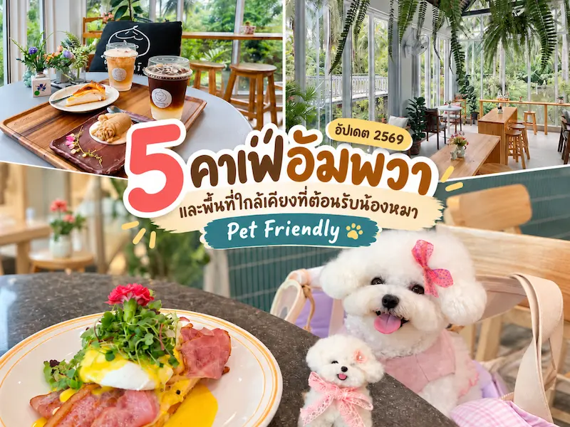 5 คาเฟ่อัมพวา–สมุทรสงคราม หมาเข้าได้ Pet Friendly ปี 2569 | ห้องแอร์ สวนมะพร้าว ริมแม่น้ำ