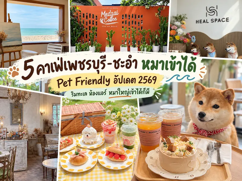 5 คาเฟ่เพชรบุรี-ชะอำ หมาเข้าได้ Pet Friendly อัปเดต 2569 | ริมทะเล ห้องแอร์ หมาใหญ่เข้าได้ก็มี