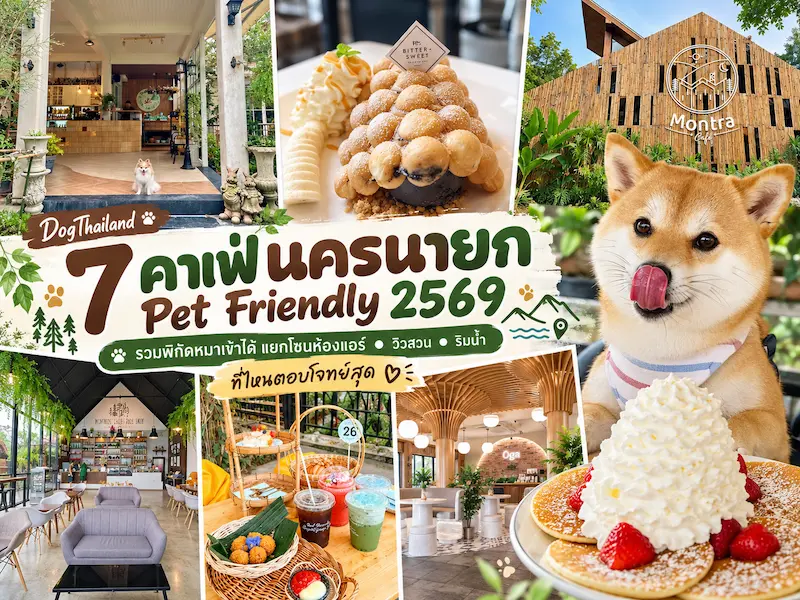 7 คาเฟ่นครนายก Pet Friendly 2569 รวมพิกัดหมาเข้าได้ แยกโซนห้องแอร์-วิวสวน-ริมน้ำ ที่ไหนตอบโจทย์สุด