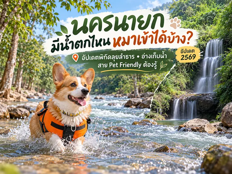นครนายกมีน้ำตกไหนหมาเข้าได้บ้าง? อัปเดตพิกัดลุยลำธาร อ่างเก็บน้ำ สาย Pet Friendly ต้องรู้