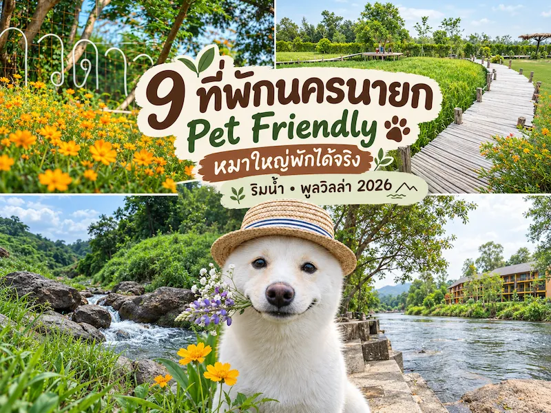 9 ที่พักนครนายก Pet Friendly หมาใหญ่พักได้จริง ริมน้ำ พูลวิลล่า 2026