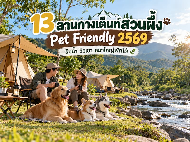 13 ลานกางเต็นท์สวนผึ้ง-Pet-Friendly.jpg