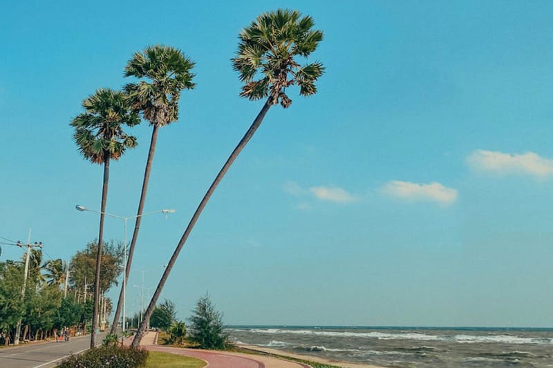 ปราณบุรี หมาพักได้