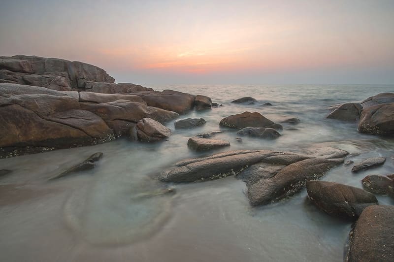 ระยอง หมาพักได้