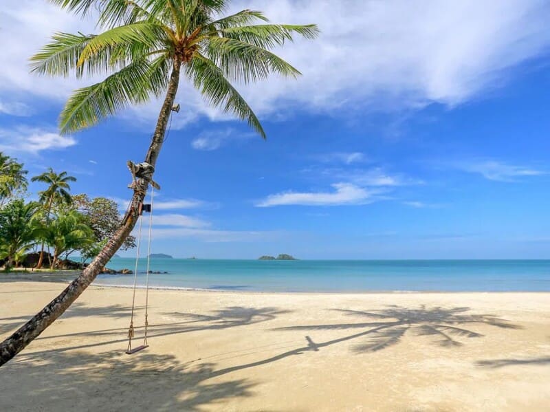 เกาะช้าง หมาพักได้