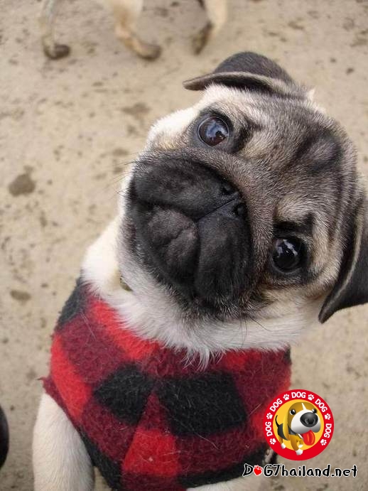 ความเหงา ความไฮโซ ของผม