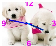 มาทำรูปน้องหมาเป็นนาฬิกากัน