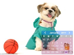 ทำปฎิทินปีใหม่ รูปน้องหมา เรากันดีกว่า