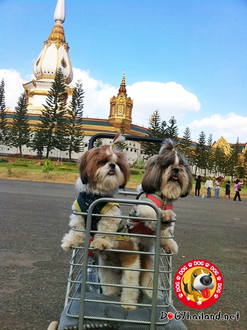 พาน้องพาเที่ยว มหาเจดีย์ชัยมงคล ร้อยเอ็ด