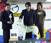งานประกวด PANTIP PET EXPO,8-9 มค.54