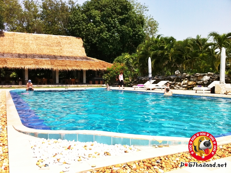 เที่ยวเมืองกาญจนบุรี ที่พักหมาพักได้ ราคาแสนถูกจ้า