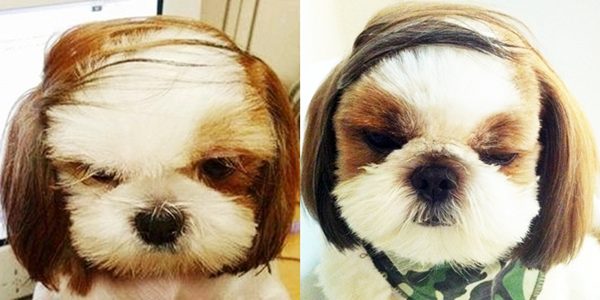 บอกได้คำเดียวว่า "น่ารั๊กอ๊ะ"