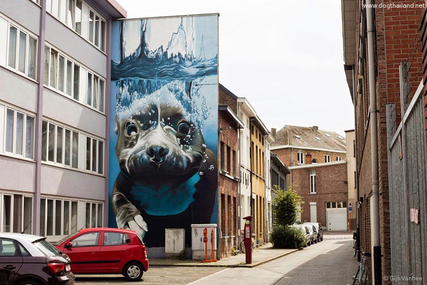 diving-dog-street-art-mural-smates-bart-smeets-4.jpg