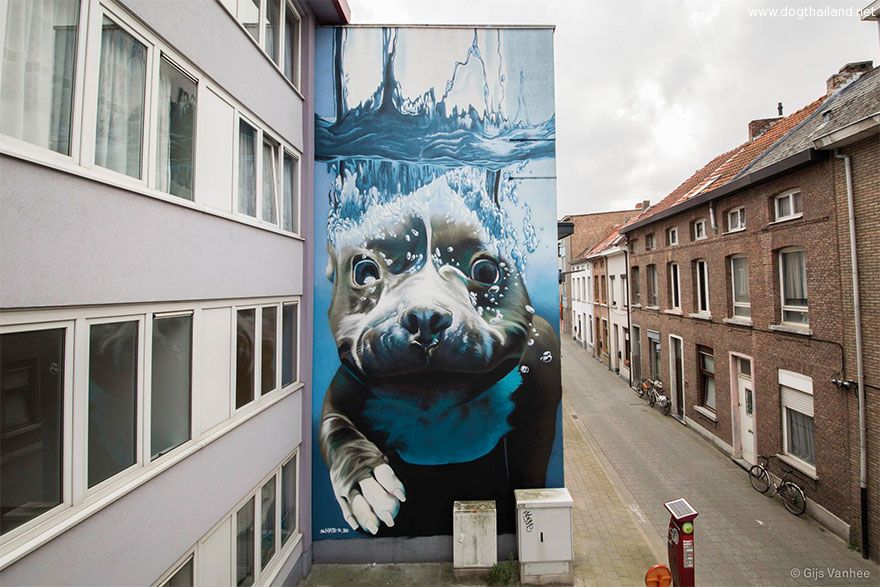 diving-dog-street-art-mural-smates-bart-smeets-1.jpg